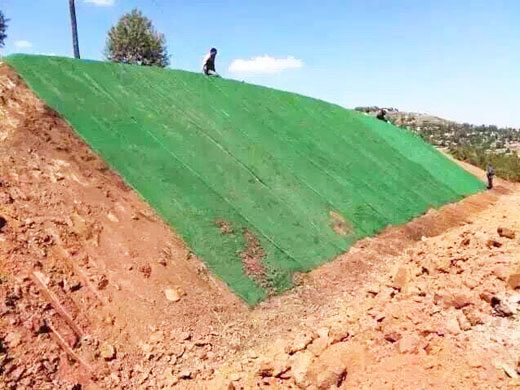 山東聯(lián)諾工程材料有限公司,山東三維植被網(wǎng)廠家